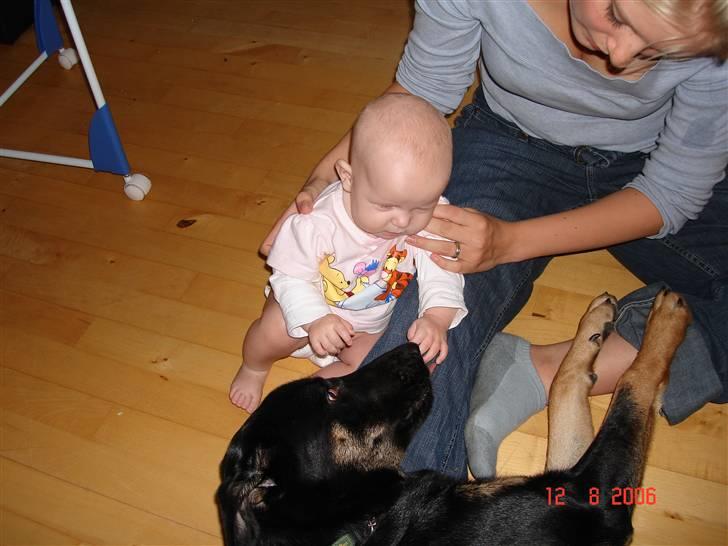 Blanding af racer Malou - familiens tøsser hygger billede 6