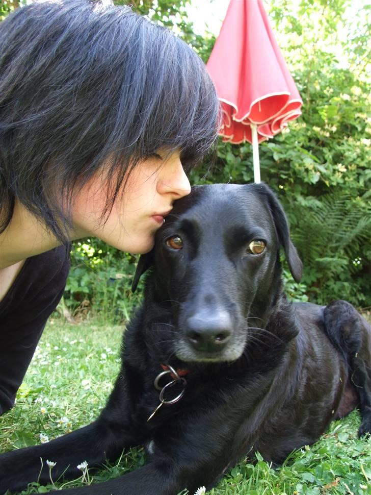 Blanding af racer Olivia - 12 juni 08 billede 13