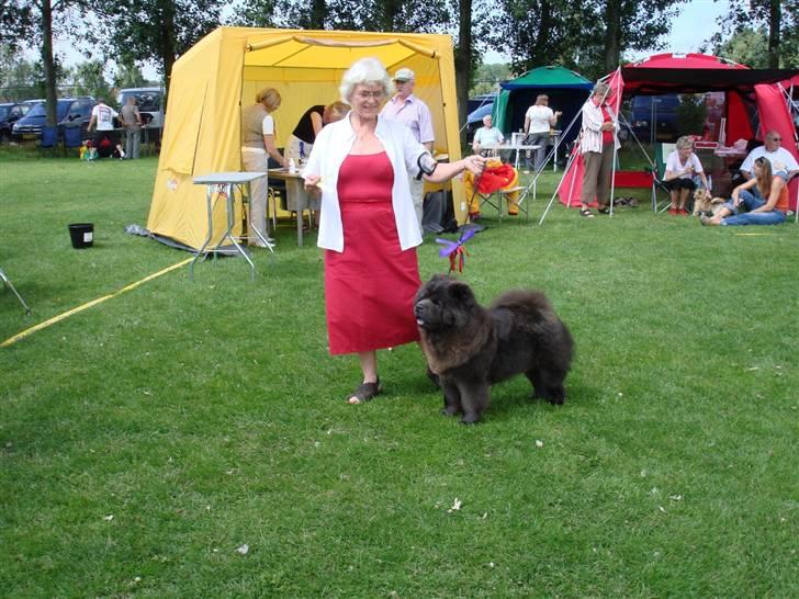 Chow chow Fun-Hais Kurona - udstilling på bornholm ju-hu jeg vandt billede 10
