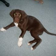 Blanding af racer Chaco