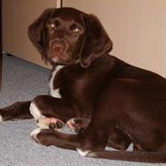 Blanding af racer Chaco