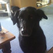 Blanding af racer Fister