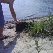 Blanding af racer Fister