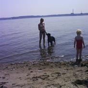 Blanding af racer Fister