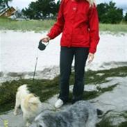 Blanding af racer Laura (Bamse)