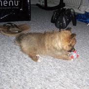 Blanding af racer *Mille*