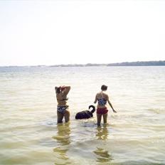 Blanding af racer muffie