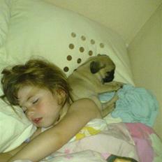 Mops Malou