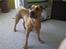 Blanding af racer Gucci R.I.P