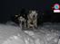 Siberian husky Sheeba *R.I.P* - jubiii her kommer vi i fuld fart gennem sneen!!