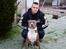 Amerikansk staffordshire terrier Aico R.I.P - Fars stolthed<3