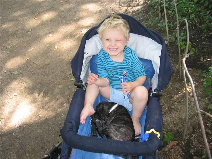 Blanding af racer Betty billede 16