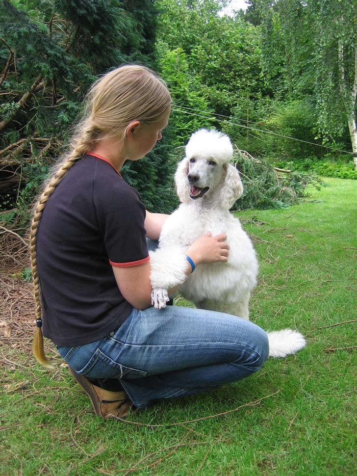 Storpuddel Nakita P.I.P. 28-7-2011 billede 11