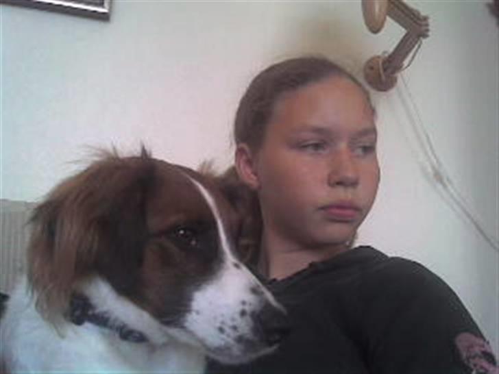 Dansk svensk gaardhund Jackie - Mig og Jack.. ;D billede 7