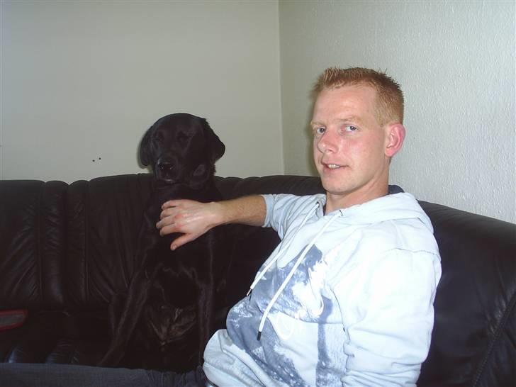 Blanding af racer mille - michael min kæreste og mille billede 7