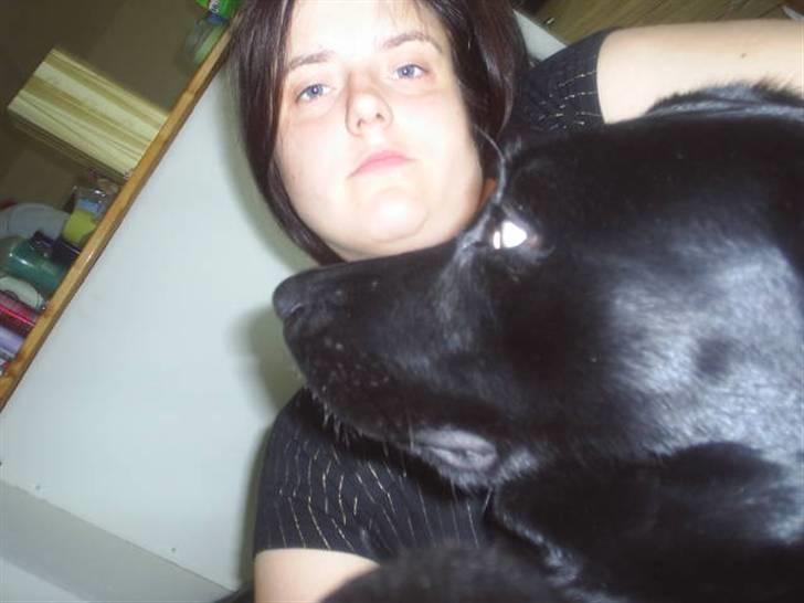 Blanding af racer mille billede 12