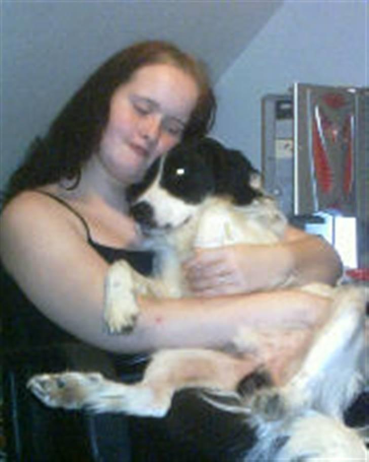 Border collie Laco - nu skal vi rigtig hænge billede 4