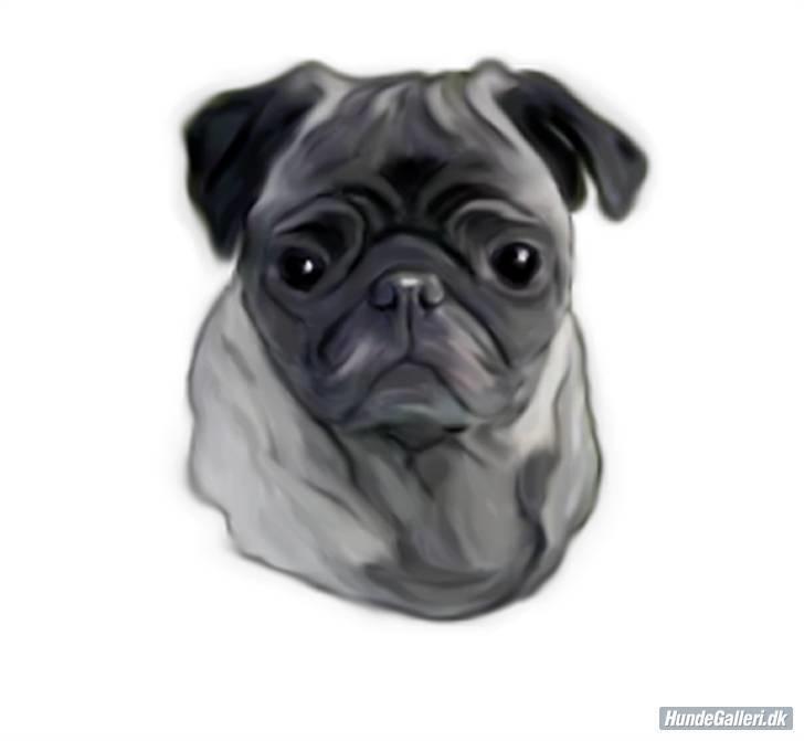 Mops *Boris* - 15. Lavet af Hanne billede 15