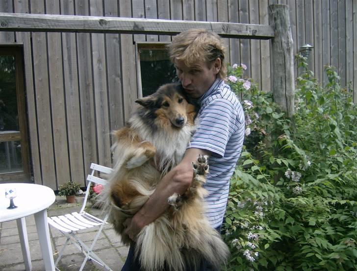 Collie langhåret Cheela R.I.P:( - cheela og min far <3 billede 17