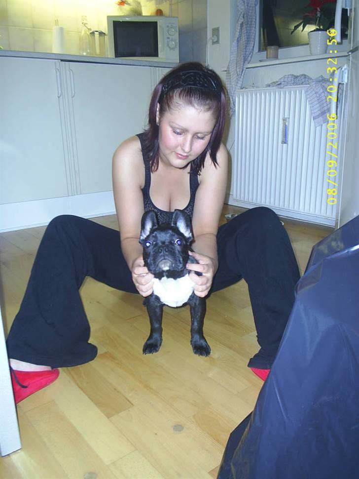 Fransk bulldog Rocky - R.I.P :'( <3 billede 18