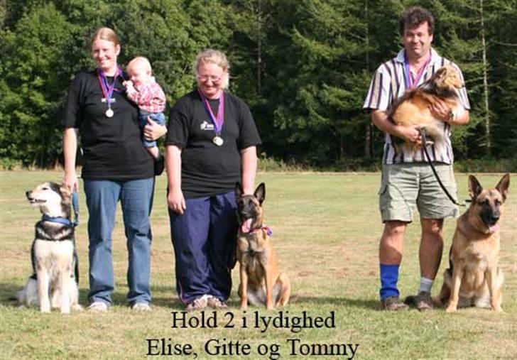 Blanding af racer Lucky - Hold 2 i lydighed. landsmesterskaberne i Frederiksværk. 2005 billede 8