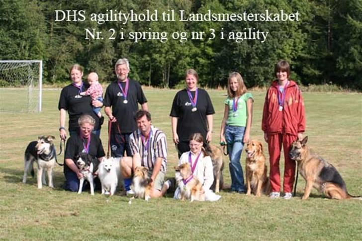 Blanding af racer Lucky - DHS nr 2 i spring og nr 3 i agility. Frederiksværk 2005 billede 9