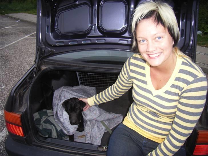 Blanding af racer Buddy - Buddy og jeg (Jane) billede 12