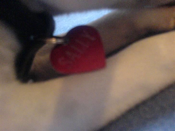 Dansk svensk gaardhund sally billede 14