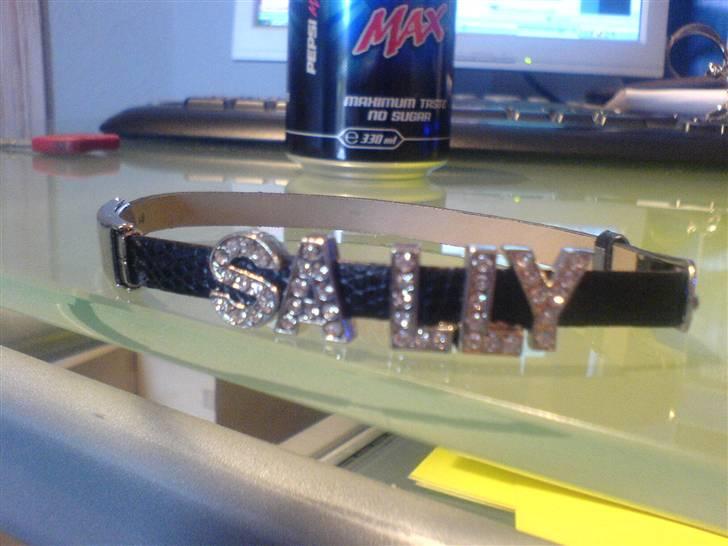 Dansk svensk gaardhund sally billede 15