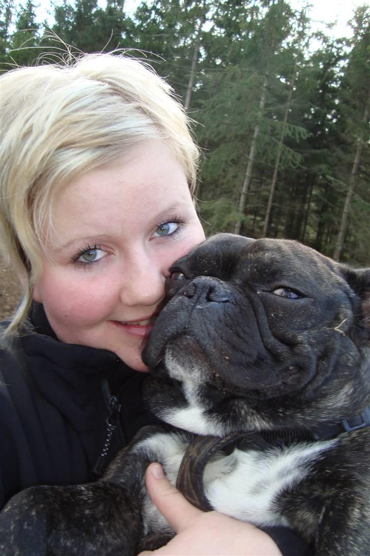 Fransk bulldog Joey - Min bedste ven i hele verden og mig..:) billede 5