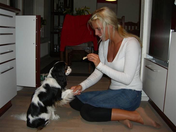 Blanding af racer Pelle - Pelle siger "Goddag" billede 16