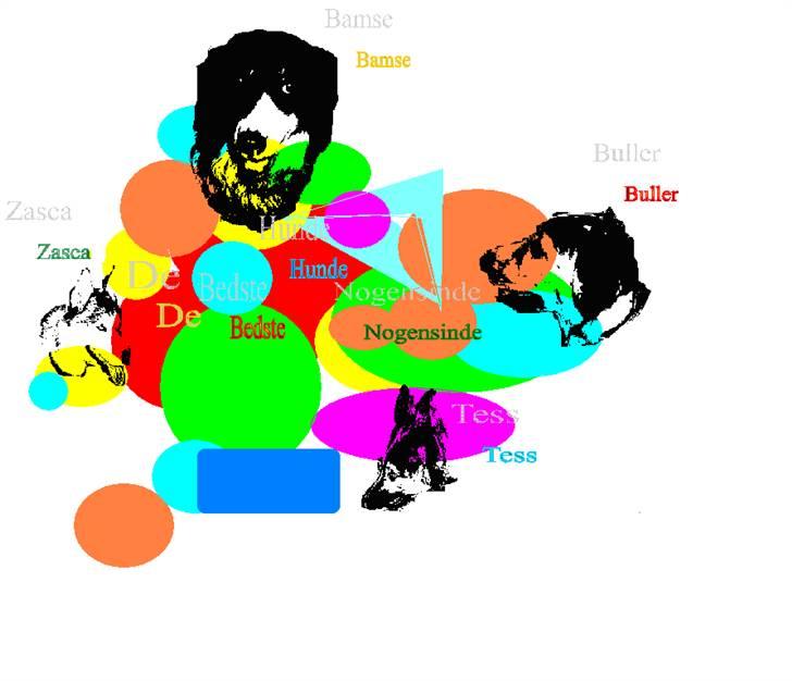 Blanding af racer Zasca... Tess... - de bedste hunde nogensinde billede 10