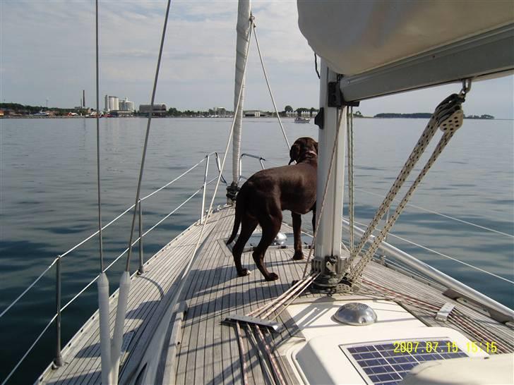 Blanding af racer Magnus - Magnus holder kursen til Assens.... billede 5