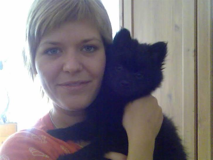 Mittelspitz Anton - Kæle kæle billede 3