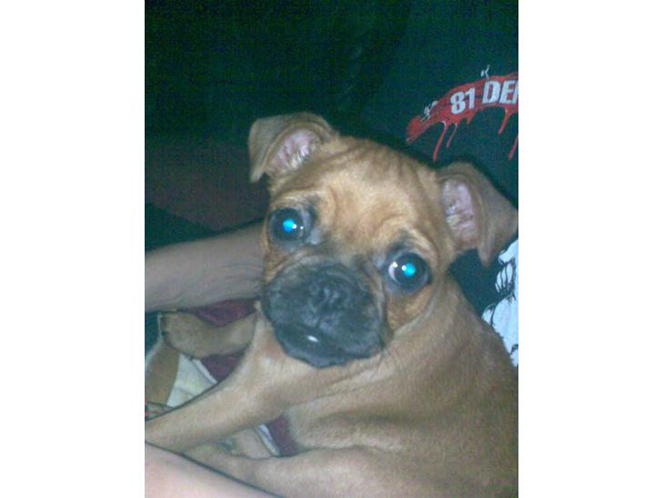 {{currentPhoto.altText}} billede {{currentPhoto.number}}