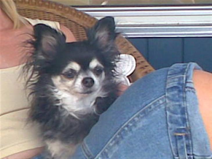 {{currentPhoto.altText}} billede {{currentPhoto.number}}