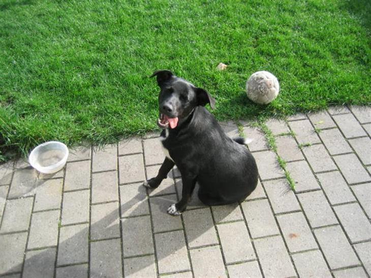 {{currentPhoto.altText}} billede {{currentPhoto.number}}