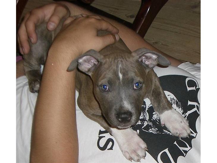 {{currentPhoto.altText}} billede {{currentPhoto.number}}