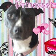 Blanding af racer candy