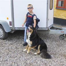 Blanding af racer Freja