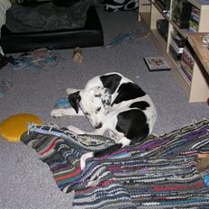 Blanding af racer Tezz