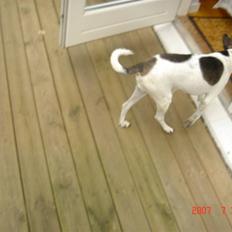 Blanding af racer Modo