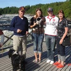 Tibetansk terrier Ömsikka's Astor af Ricko