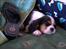 Cavalier king charles spaniel Townfield's Tony-Skott
