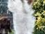Cavalier king charles spaniel Perle R.I.P. 9. maj 2012  - Perle er rigtig god til at danse på 2 ben.