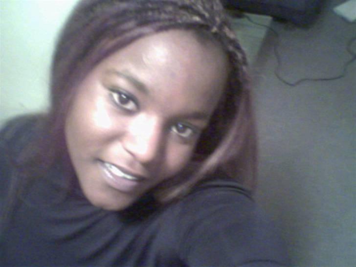 Amerikansk staffordshire terrier Bosco billede 16