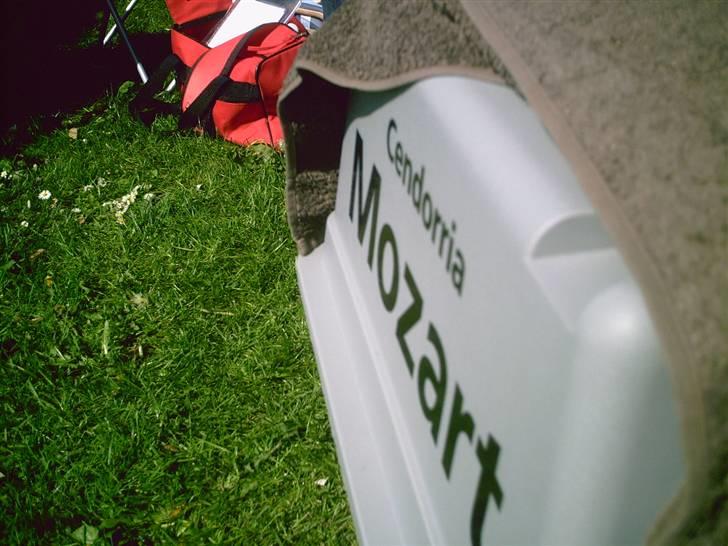 Fransk bulldog cendorria mozart. R.I.P - min ferrari :) billede 9