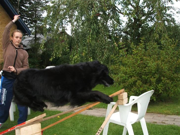 Blanding af racer TIKI R.I.P - sikke et spring billede 2