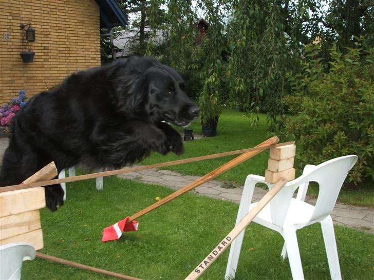 Blanding af racer TIKI R.I.P - flyv!!!! billede 4