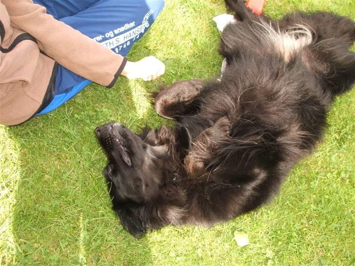 Blanding af racer TIKI R.I.P - Jeg gør mig lækker billede 5